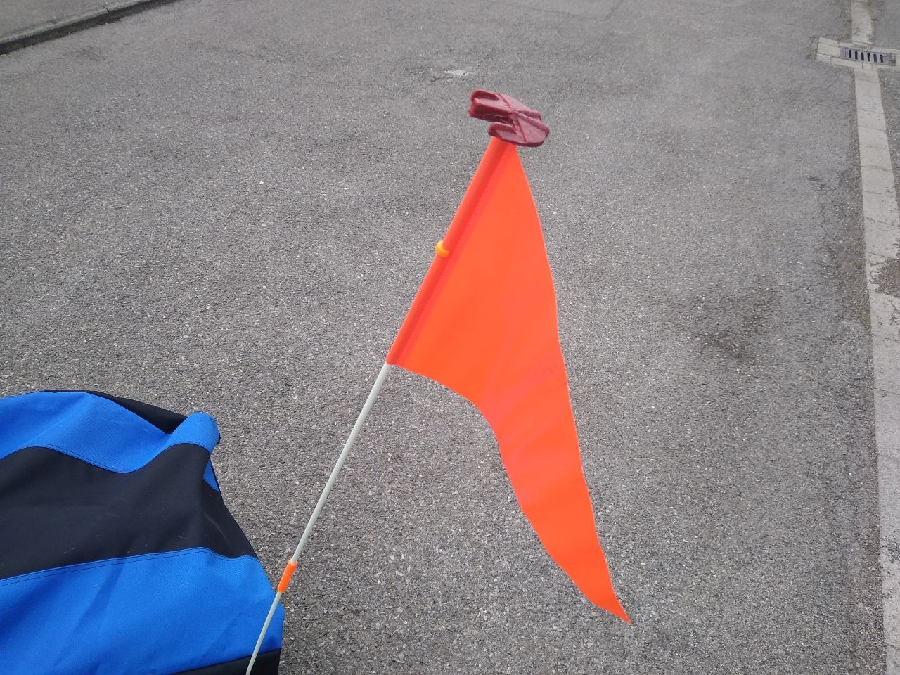 Improved bike flag