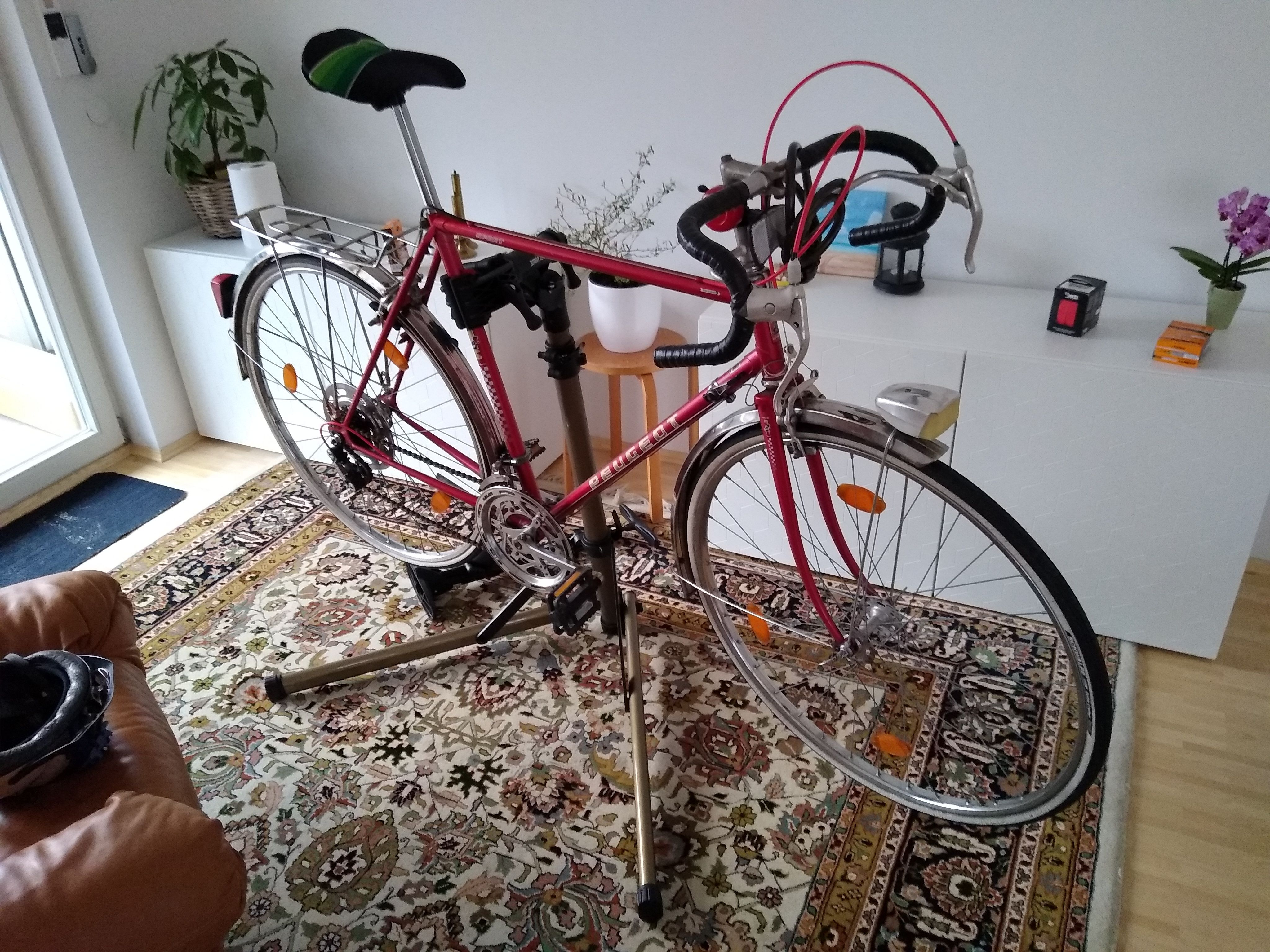 bike1.jpg